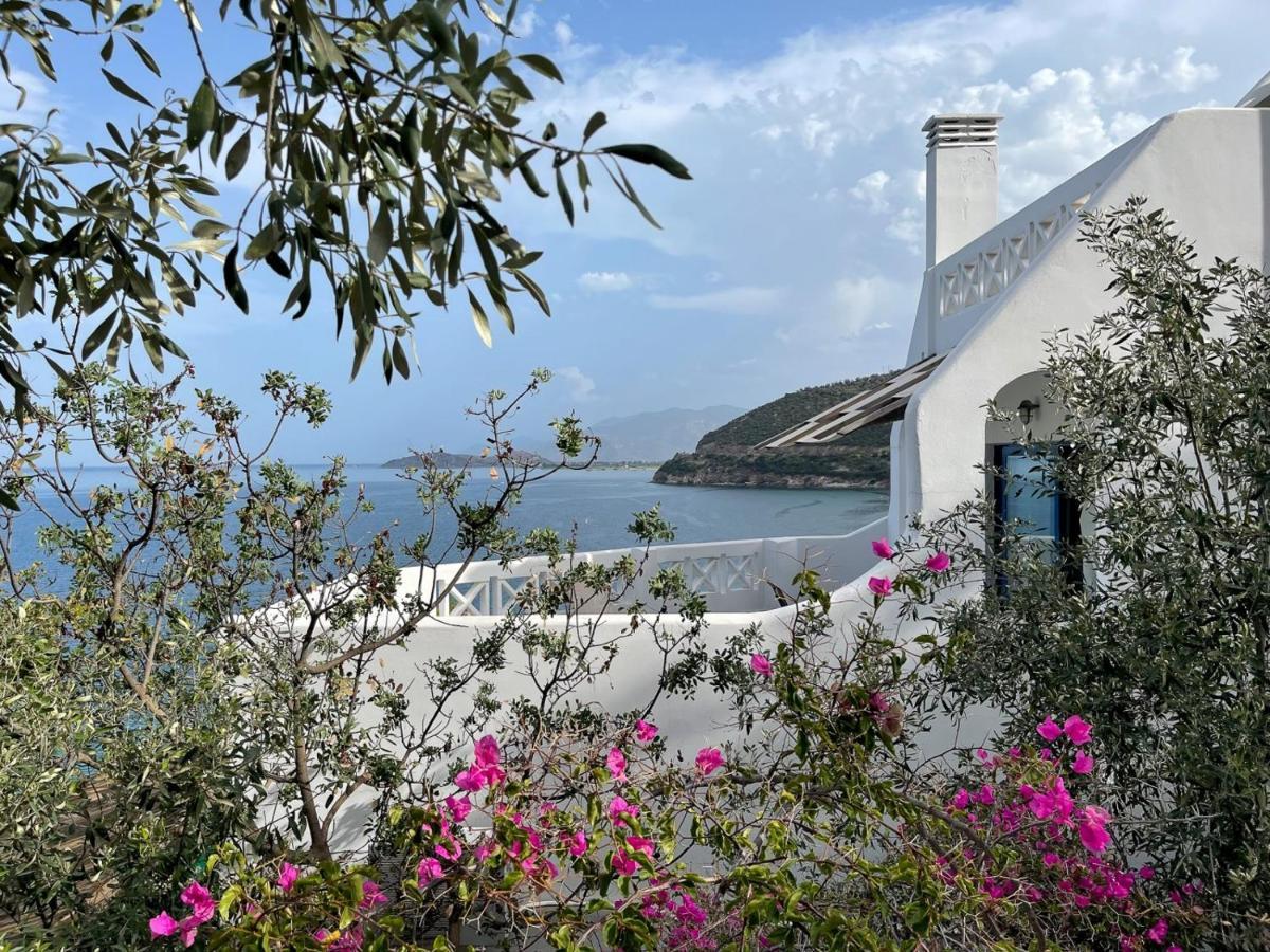 Muses Seaside Villas ปาราลีอออัสตรอช ภายนอก รูปภาพ