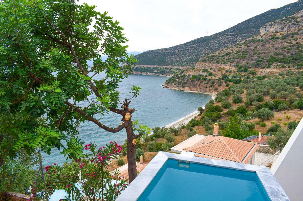 Muses Seaside Villas ปาราลีอออัสตรอช ภายนอก รูปภาพ